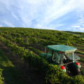 Exploring the Best Wine Shops in Southeast Florida