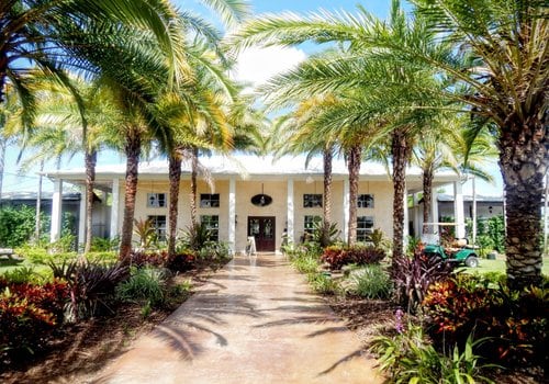 Exploring the Hidden Gems: Specialty Wines in Southeast Florida Wine Shops