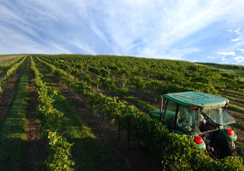 The Best Wine Shops in Southeast Florida for Affordable Prices